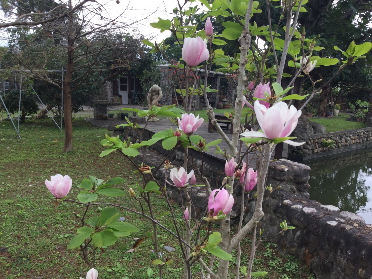 星湖森活民宿的民宿照片